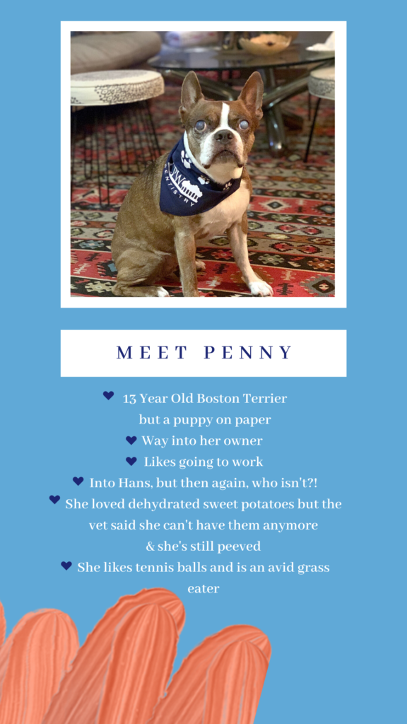 Meet Penny